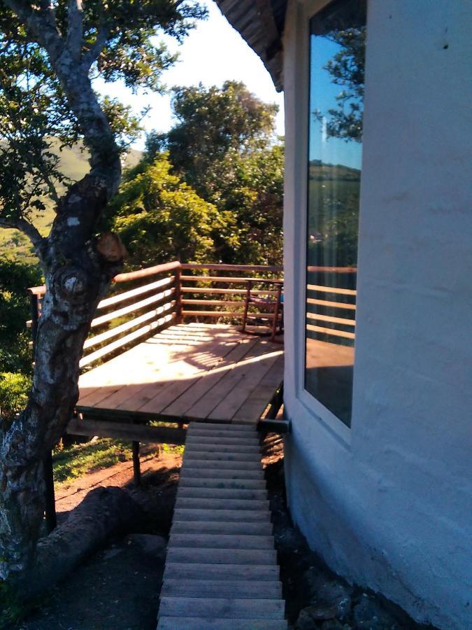 Wildview Self Catering Cottages Coffee Bay, Breakfast & Wi-Fi Inc Dış mekan fotoğraf