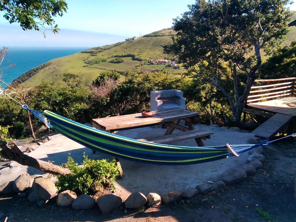 Wildview Self Catering Cottages Coffee Bay, Breakfast & Wi-Fi Inc Dış mekan fotoğraf