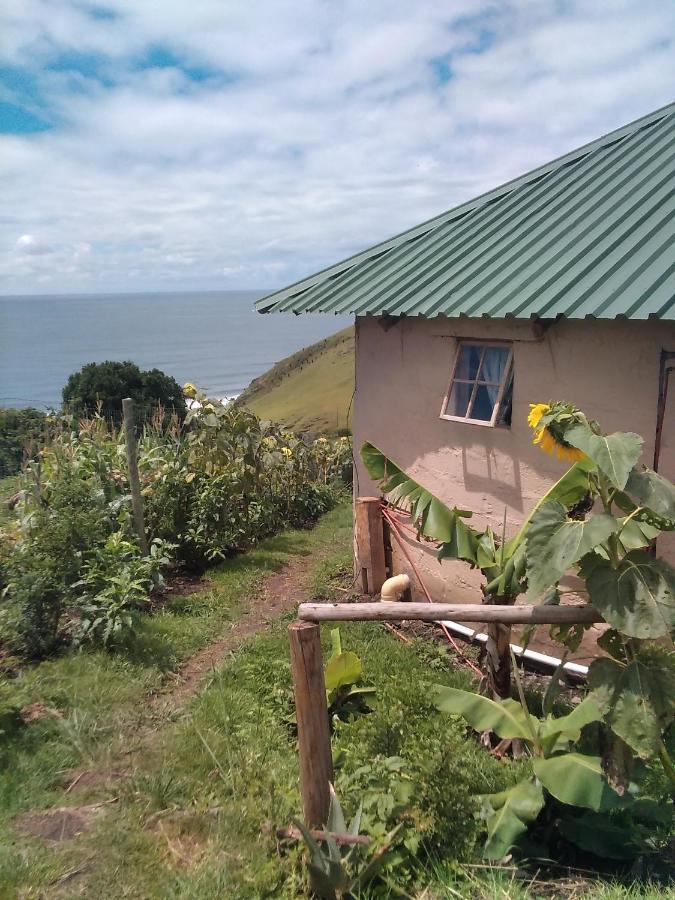 Wildview Self Catering Cottages Coffee Bay, Breakfast & Wi-Fi Inc Dış mekan fotoğraf